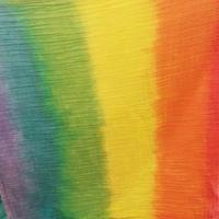RainbowCreationsScot(@rcscotland1) 's Twitter Profile Photo