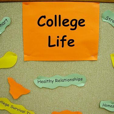 Funny College Quotes (@FunnyCollegeQts) / Twitter Funny College Quotes (@FunnyCollegeQts) / Twitter