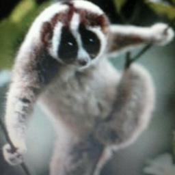 hightrust_'s profile picture. 