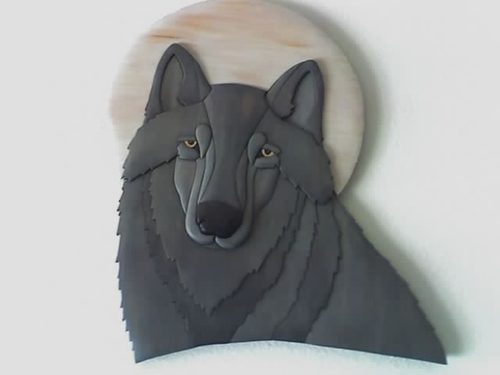 nplouffe125's profile picture. 