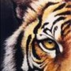 Tiger_of_Fire's profile picture. 