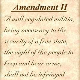 I am the Second Amendment. The other Amendments call me when they need back up.