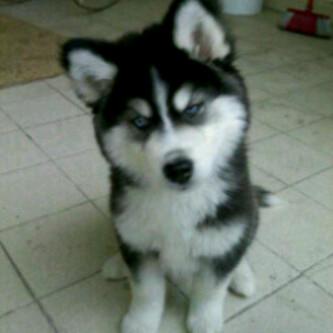 Mr 703 Ayutalita11 Twitter