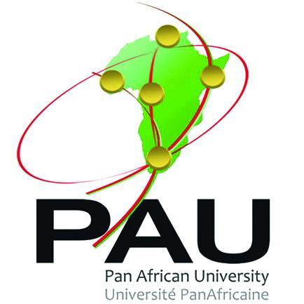 The Pan African Institute of Water and Energy sciences (including Climate Change) PAUWES