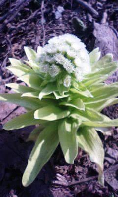 HiromiFUKAMACHI's profile picture. ただの子供好き…。脱原発。原子力防災・核ごみ・電力会社会計に関心。「地方自治を考える市民の会」「Shut泊」｢泊原発の廃炉をめざす会｣その他所属。投資系・アダルト系宣伝の方、民族・国籍や立場の違う方への中傷的言動の見られる方ブロック御免。メモ：https://t.co/816F82VCsl…