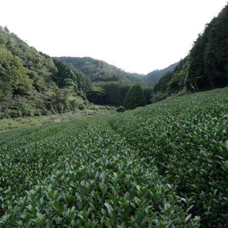 shigeatsu3's profile picture. 京都工芸繊維大学で都市・建築遺産論の研究をしています。