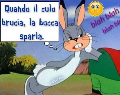 Aracelydszz's profile picture. 