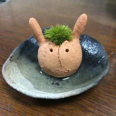 ☆剤師/某工大オケOB/びよら/埼玉から神奈川の人になりたい