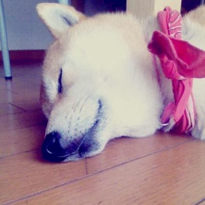 ゆきな フォロー外してください Best7m 名前 中谷美結 呼び方 みゆちゃん 呼ばれ方 中村先輩 第一印象 大人しそう 今の印象 うるさい 面白い とぷ画について 顔みせろー笑笑 Line交換できる できる 一言 部活頑張ろー O ふぁぼした人にやる ゆきな フォロー外してください Best7m 名前 中谷美結 呼び方 みゆちゃん 呼ばれ方 中村先輩 第一印象 大人しそう 今の印象 うるさい 面白い とぷ画について 顔みせろー笑笑 Line交換できる できる 一言 部活頑張ろー O ふぁぼした人にやる