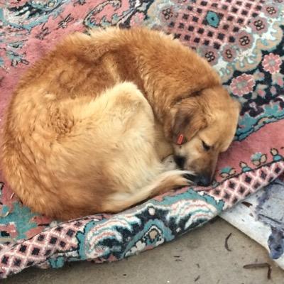 mmrbln's profile picture. O an dedim ki kendi kendime;