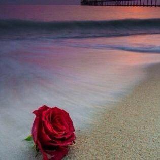 fatoooomy3's profile picture. صموووووود