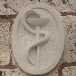 TPallavicini's profile picture. 