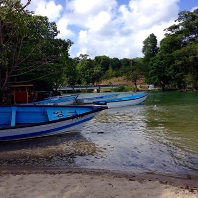 CJ6Jack's profile picture. Educator, communicator, lifelong learner, soca and carnival enthusiast, nature lover