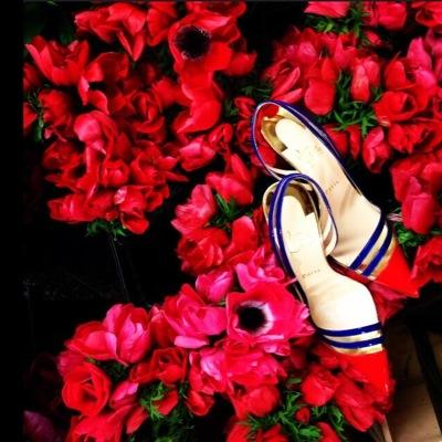 ZairaBemoto's profile picture. Monterrey