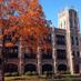 St. Leonard School (@stleonardberwyn) Twitter profile photo St. Leonard School (@stleonardberwyn) Twitter profile photo