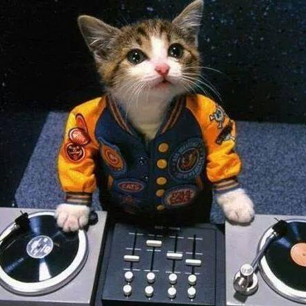 Stefano_Star96's profile picture. 