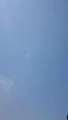 sketchbox000's profile picture. 