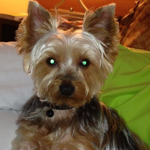 lisaed82's profile picture. 