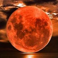 Freedom Writer (@freedomwriter69) 's Twitter Profile
