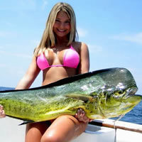 abidkecil's profile picture. 