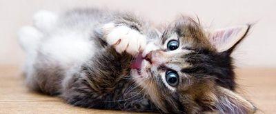 Johjoh06200's profile picture. 