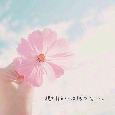 mizukichan_o's profile picture. 今までバイトくらいしかしてこなかった大学生のための、人事の方に一目置かれる就活生になるための日本語がわかればマスターできる就職活動テクニックをアメブロで公開中！