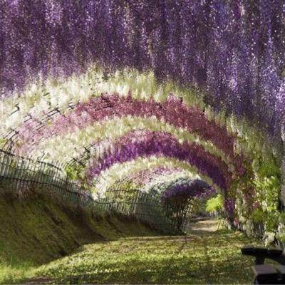 _teamcrusty's profile picture. atkinsonwin2018