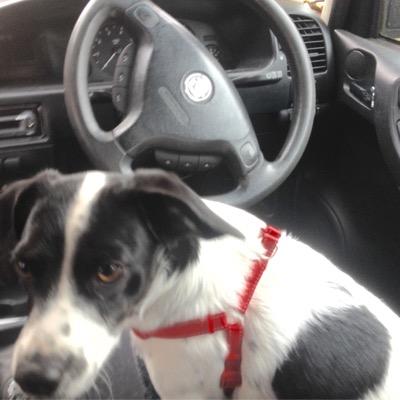 darklord69bites's profile picture. off to the hood