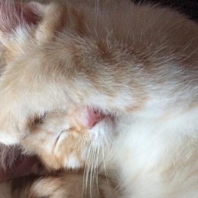 SamuelCaroS's profile picture. Observador del mundo, de lo que está lejos y cerca. Interesado en un mañana mejor. Socislista. Miembro de la Ejecutiva del PSN-PSOE. Innovacion.