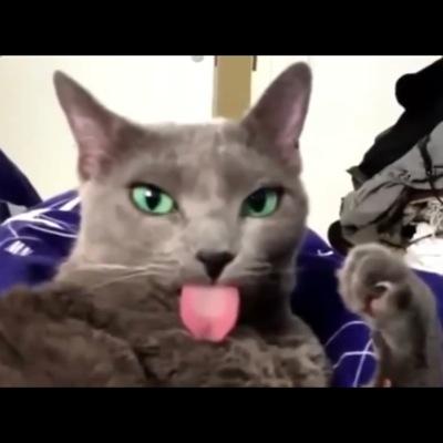 Hey guys if you didnt know im former age elimentz but i got kicked for going for the rise skating RC but im here and excited to continue growing my channel.