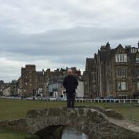 jerry mehigan (@jerrymehigan) Twitter profile photo
