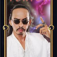GUS TORTOR (@tortoracle) 's Twitter Profile