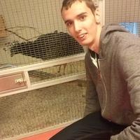 Marnick Jansen (@marnickmj) 's Twitter Profile