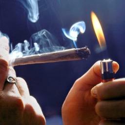 Interactive Stoner Account. Add WeTheHighClass on snapchat and send in stoner pics; they will be posted to story and possibly on here. Stay High Class.