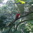 zencsk's profile image