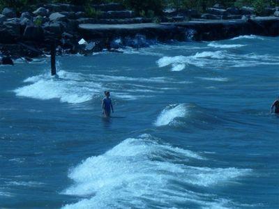 hhskills's profile picture. 