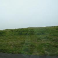 Doris North (@dmgbn) 's Twitter Profile