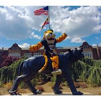 Doc the Tiger (@doc_the_tiger) 's Twitter Profile Photo Doc the Tiger (@doc_the_tiger) 's Twitter Profile Photo