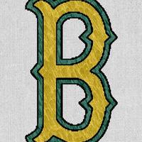 Verndale Bison (@verndalebison) 's Twitter Profile