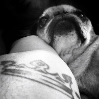 pahliewalnuts's profile picture. swc | wsu | ewu | uw | su