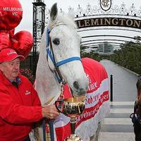 Subzero (@subzerohorse) 's Twitter Profile