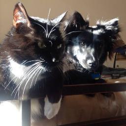 theforensicduo's profile picture. Two college kids competing in forensics