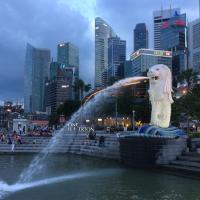 yaversh 🇺🇦🌻 M. Schulz (@yaversh) Twitter profile photo