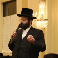 Velvi Feldman (@velvif) 's Twitter Profile