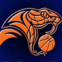 Vale Vipers (@valevipers) 's Twitter Profile Photo Vale Vipers (@valevipers) 's Twitter Profile Photo