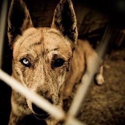 AndyhillAndy's profile picture. 