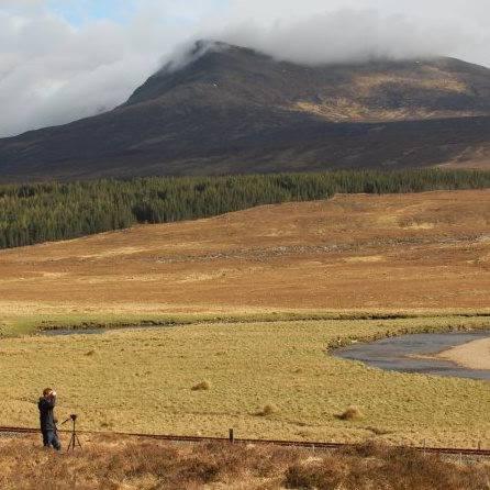 SBPhotogrphy's profile picture. Keen photographer (Railways/wildlife/landscapes/nightscenes). 

Twitter Account for: 
https://t.co/SFvOIh275n and SBphotography on Facebook