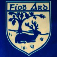 Fethard GAA Club (@fethardgaaclub) 's Twitter Profile
