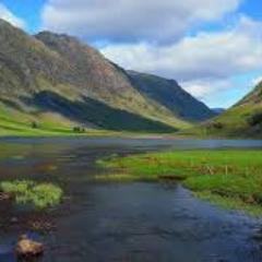 MrsMcMullen5's profile picture. 