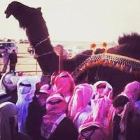 راعي مسكتهه (@mohammad_almans) 's Twitter Profile